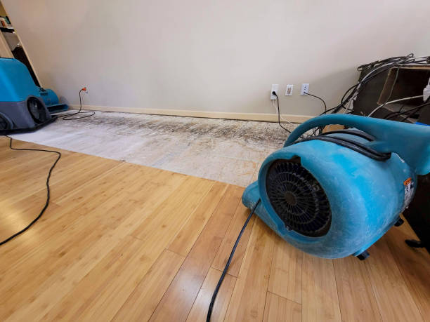 Professional Basement Flood Cleanup technician working in Kemp, TX